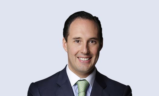 Germán de la Garza De Vecchi