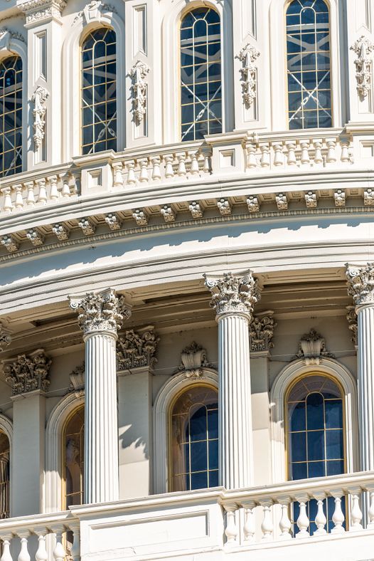 Policy Pulse
